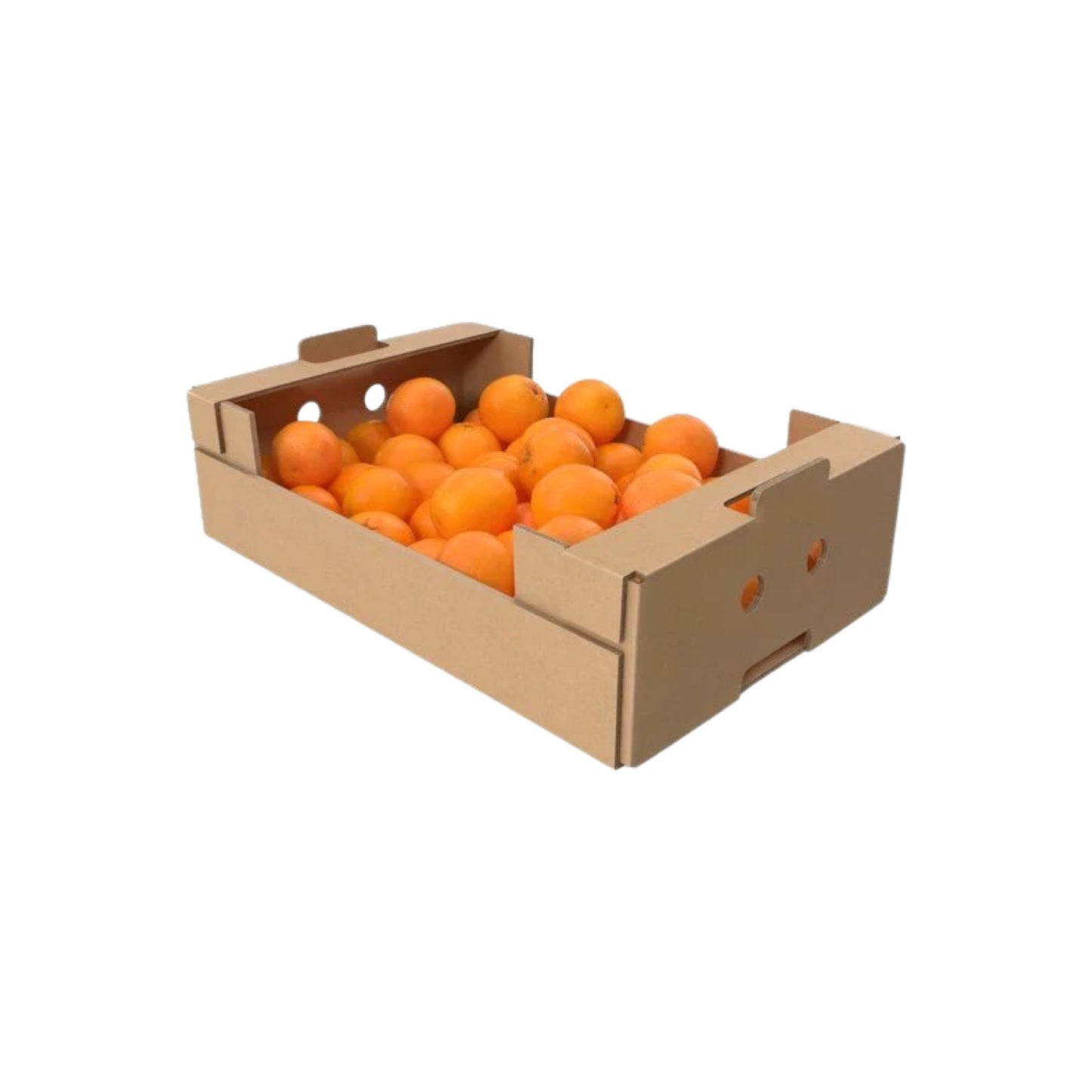 BOX OF ORANGES X 24