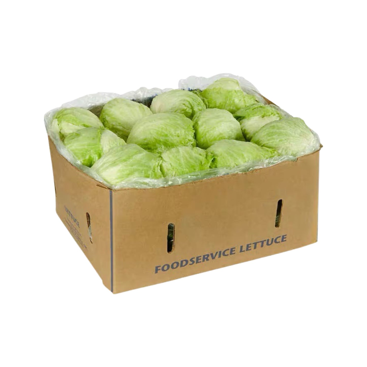 BOX OF LETTUCE X 12