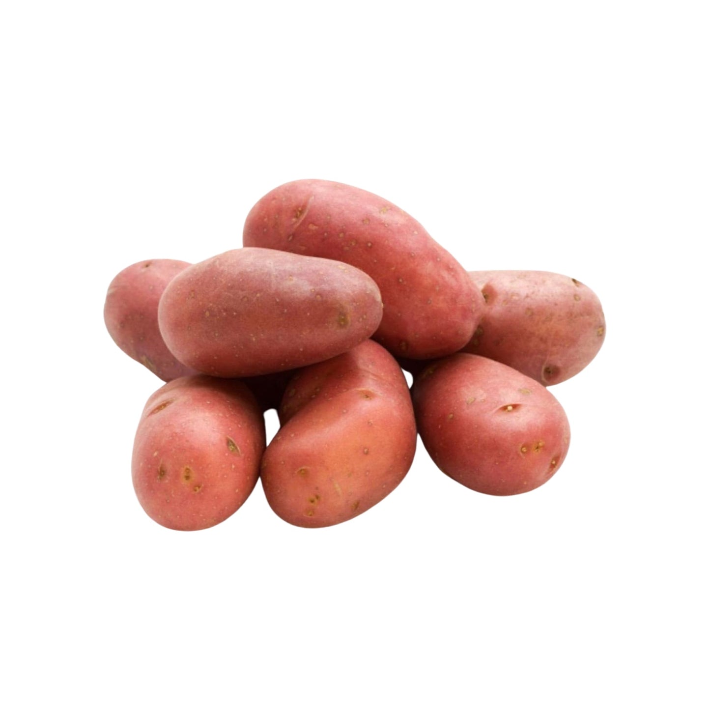 RED POTATOE 25KG